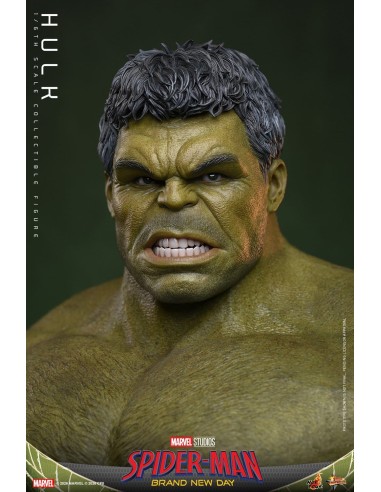 Marvel Hulk Spider-Man Brand New Day...
