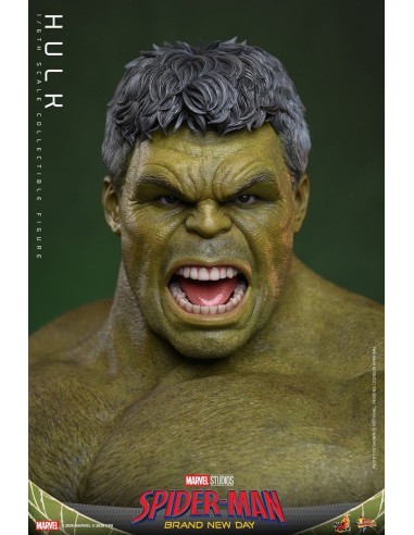 Marvel Hulk Spider-Man Brand New Day...