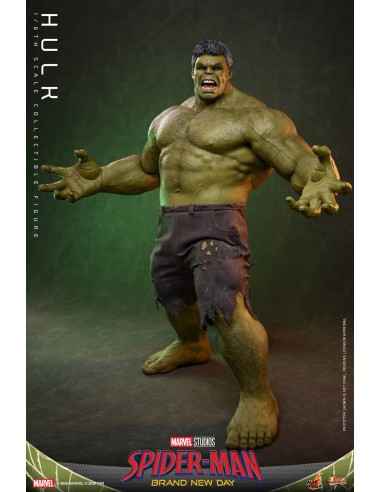Marvel Hulk Spider-Man Brand New Day...