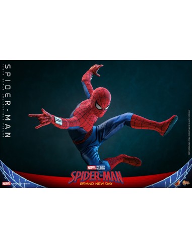 Spider-Man Brand New Day Action...