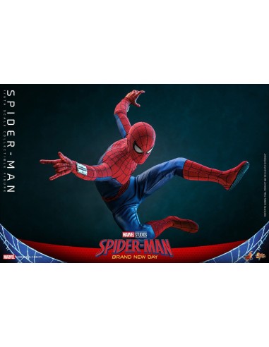 Spider-Man Brand New Day Action...