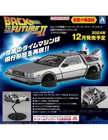 Time Machine From Back To The Future...