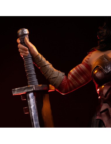 Wonder Woman Absolute DC Comics Art...