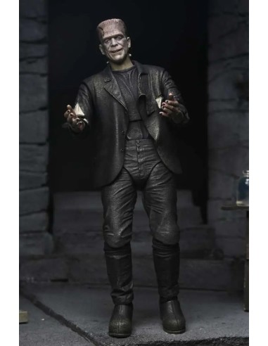 Bride Of Frankenstein 90Th The...