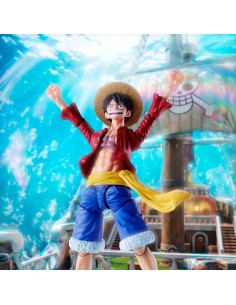 One Piece S.h.figuarts...