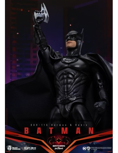 DC Comics Batman & Robin Action...