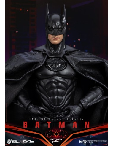 DC Comics Batman & Robin Action...