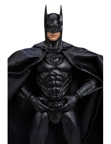 DC Comics Batman & Robin Action...