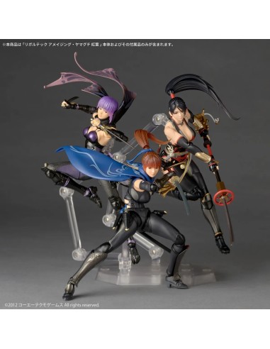 Ninja Gaiden 3 Momiji Revoltech...