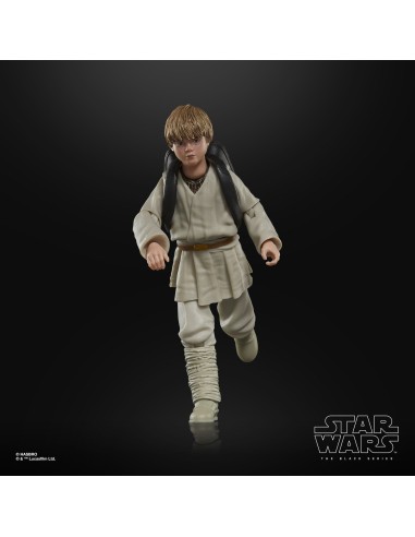 Star Wars Episode I Black Series...