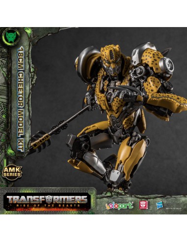 Yolopark Transformers: Rise of the...