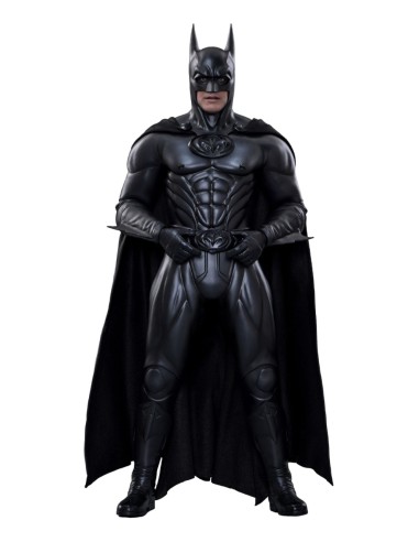 Batman & Robin Movie Masterpiece...
