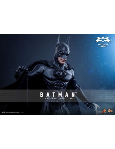 Batman & Robin Movie Masterpiece...