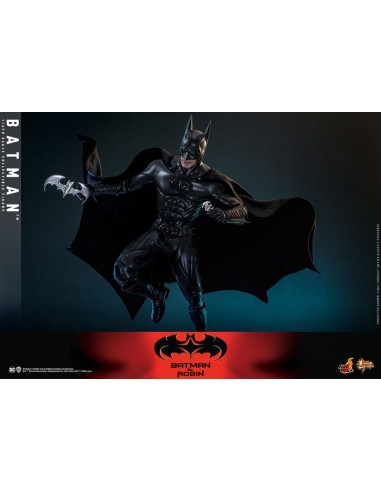 Batman & Robin Movie Masterpiece...