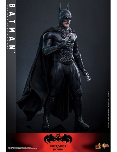 Batman & Robin Movie Masterpiece...