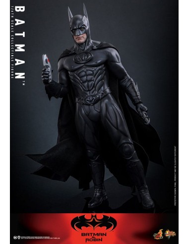 Batman & Robin Movie Masterpiece...