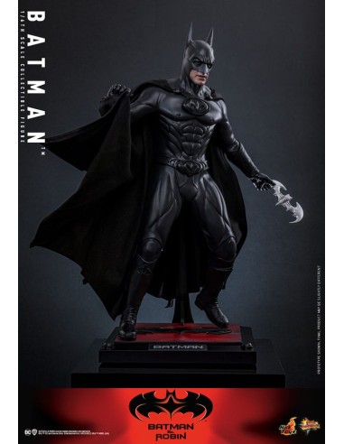 Batman & Robin Movie Masterpiece...