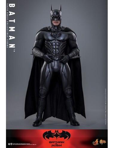 Batman & Robin Movie Masterpiece...