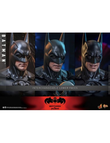 Batman & Robin Movie Masterpiece...