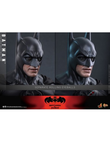 Batman & Robin Movie Masterpiece...