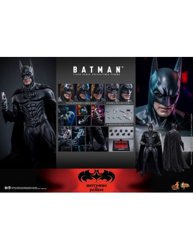 Batman & Robin Movie Masterpiece...