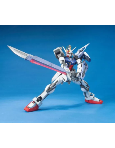 Gundam Launcher/Sword Strike Master...