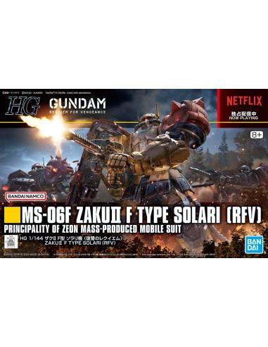 Zaku II F Type Solari RFV Requiem For...