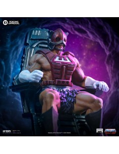 Iron Studios Masters of the...